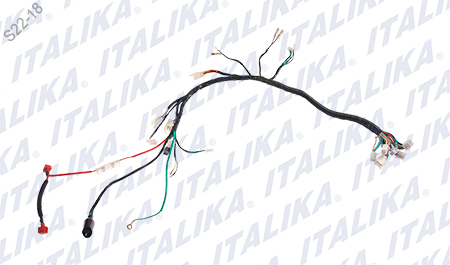 [F06050172] ARNES PRINCIPAL