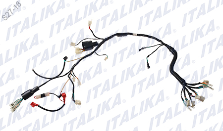 [F06050175] ARNES PRINCIPAL