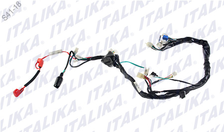 [F06050179] ARNES PRINCIPAL