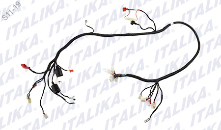 [F06050185] ARNES PRINCIPAL