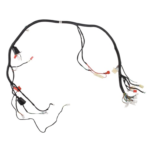 [F06050198] ARNES PRINCIPAL CON CONECTOR USB