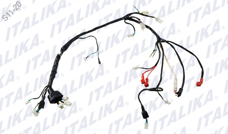 [F06050204] ARNES PRINCIPAL