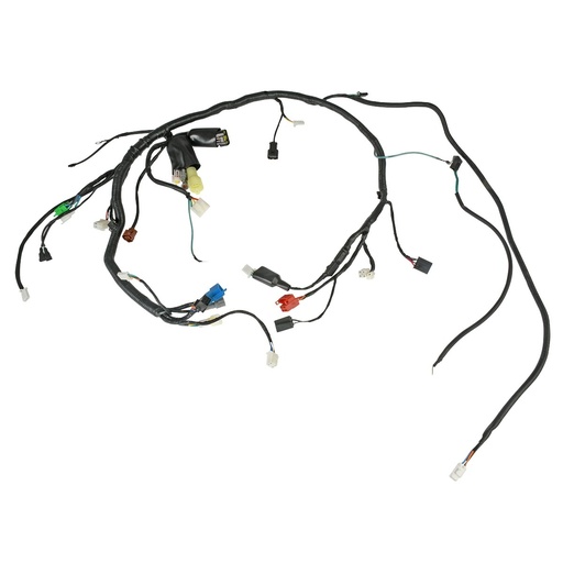 [F06050219] ARNES PRINCIPAL