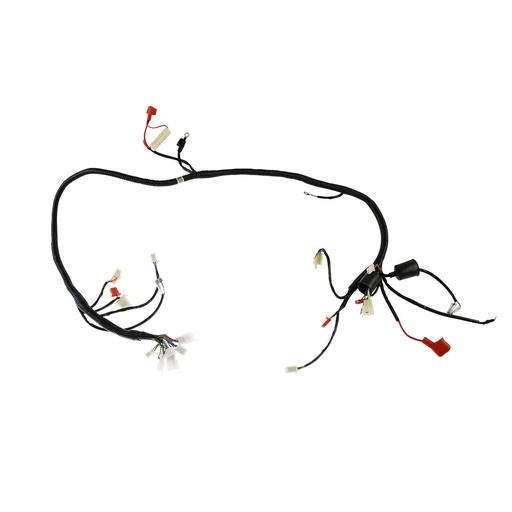 [F06050226] ARNES PRINCIPAL