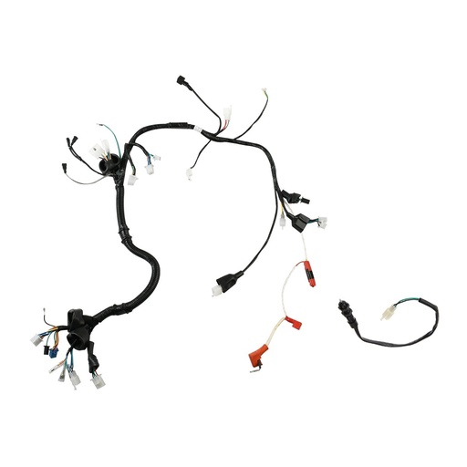 [F06050230] ARNES PRINCIPAL