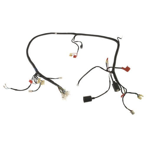 [F06050235] ARNES PRINCIPAL