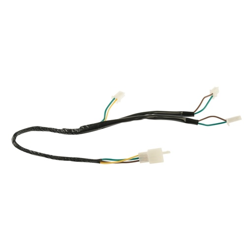 [F06050237] ARNES AUXILIAR