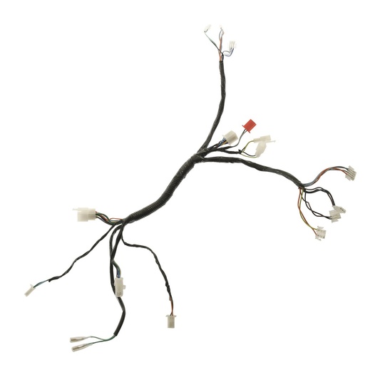 [F06050243] ARNES SECUNDARIO