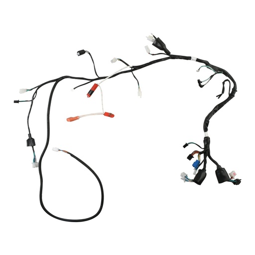 [F06050246] ARNES PRINCIPAL