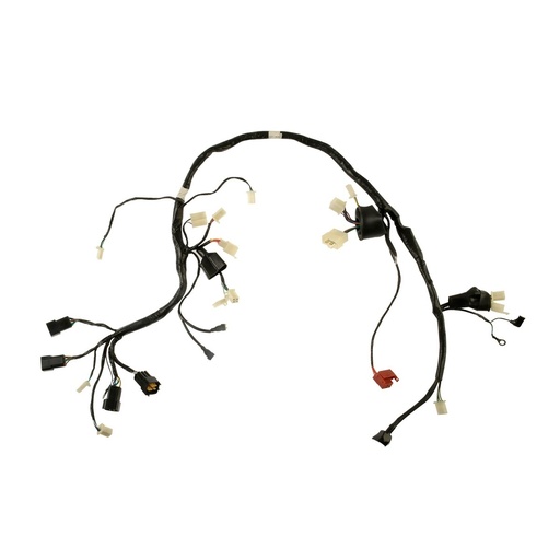 [F06050251] ARNES PRINCIPAL