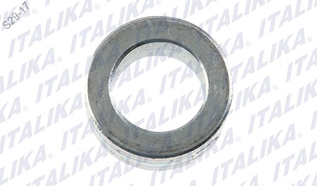 [F15060003] BUJE RUEDA TRAS 17.2X11