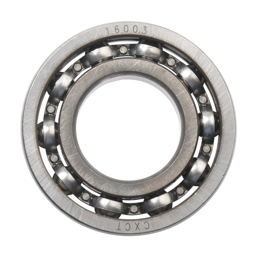 [F25030018] BALERO 16003